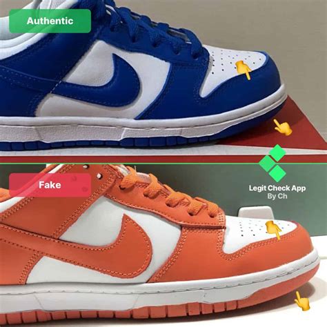 nike dunk true check